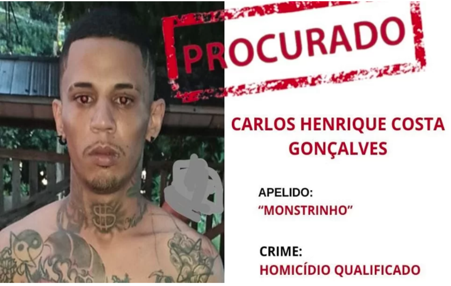 Policia Civil de Goiás procura “Monstrinho”